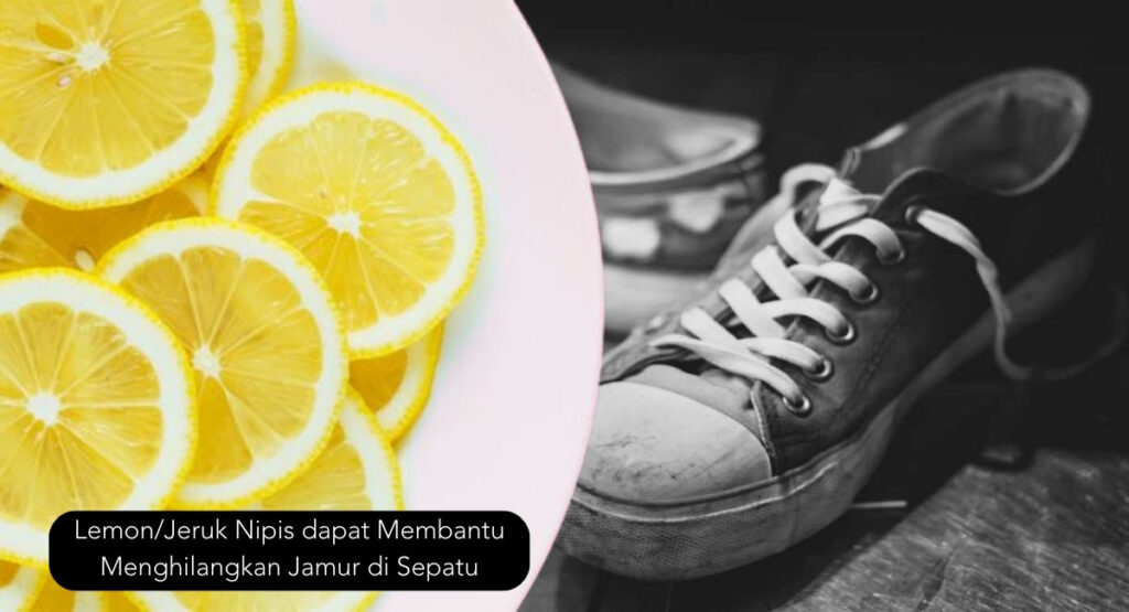 manfaatkan lemon untuk membersihkan sepatu